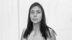 Johanna Cárcamo González